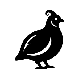 Möhne-Wachtel